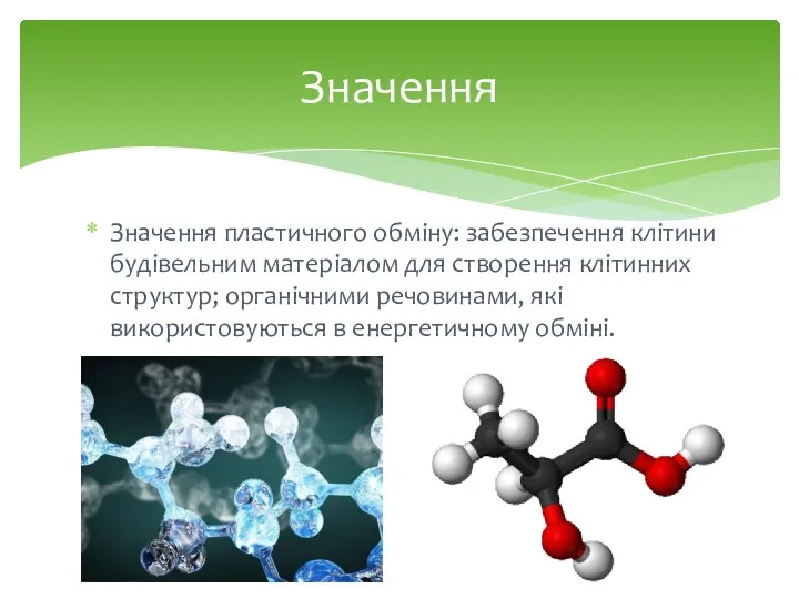 Значення пластичного обміну: забезпечення клітини будівельним матеріалом для створення клітинних структур;