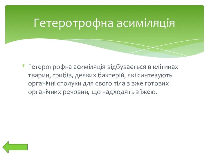 Гетеротрофна асиміляція відбувається в клітинах тварин, грибів, деяких бактерій, які синтезують