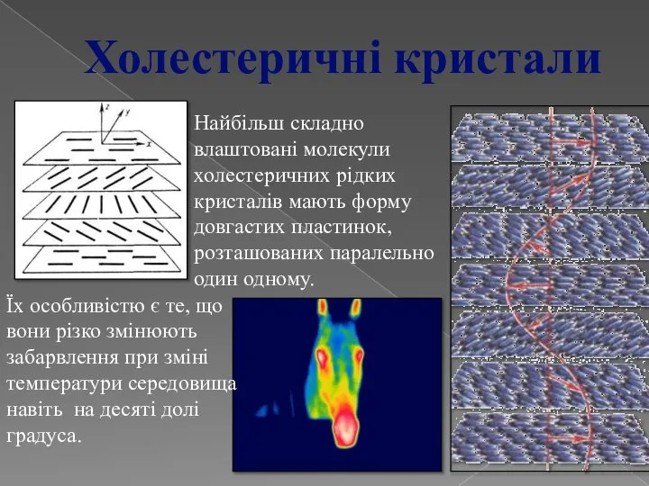 Найбільш складно влаштовані молекули холестеричних рідких кристалів мають форму довгастих пластинок,