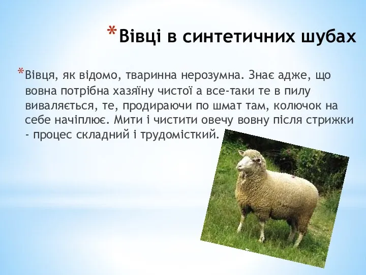 Вівці в синтетичних шубах Вівця, як відомо, тваринна нерозумна. Знає адже,