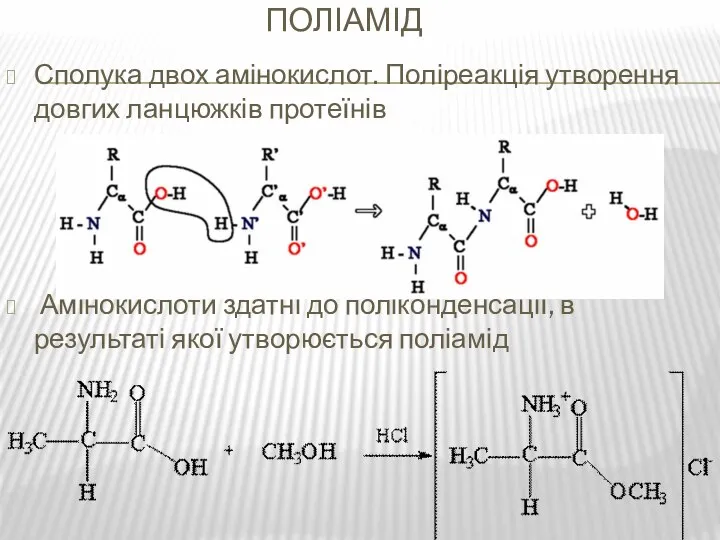 Поліамід Сполука двох амінокислот. Поліреакція утворення довгих ланцюжків протеїнів Амінокислоти здатні