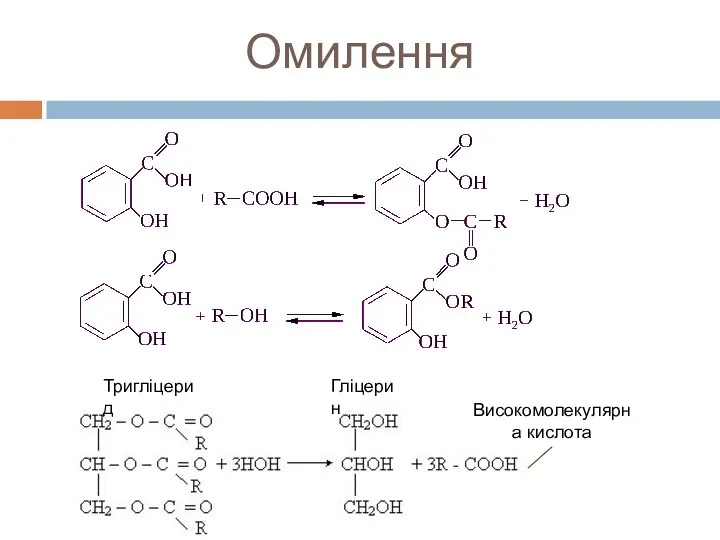 Омилення Тригліцерид Високомолекулярна кислота Гліцерин