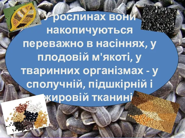 У рослинах вони накопичуються переважно в насіннях, у плодовій м'якоті, у