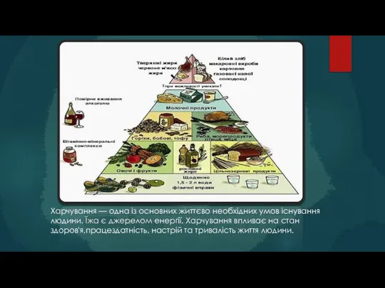 Харчування — одна із основних життєво необхідних умов існування людини. Їжа
