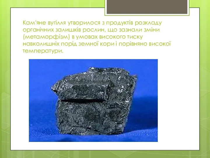 Кам'яне вугілля утворилося з продуктів розкладу органічних залишків рослин, що зазнали