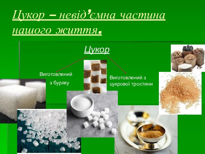 Цукор – невід’ємна частина нашого життя. Цукор Виготовлений з буряку Виготовлений з цукрової тростини