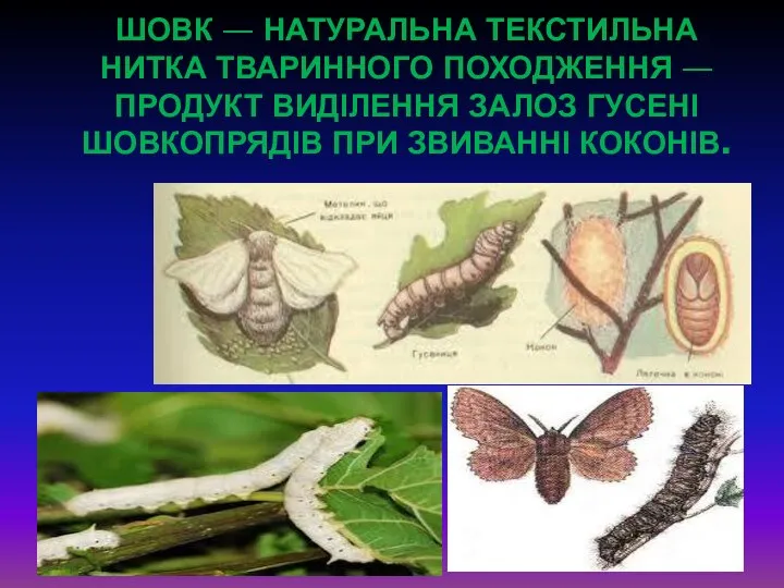 Шовк — натуральна текстильна нитка тваринного походження — продукт виділення залоз гусені шовкопрядів при звиванні коконів.
