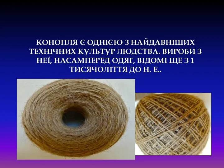 Конопля є однією з найдавніших технічних культур людства. Вироби з неї,