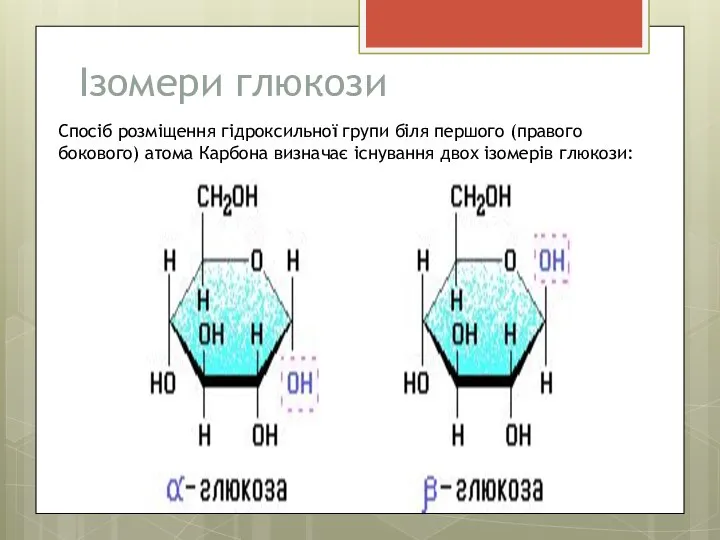 Ізомери глюкози Спосіб розміщення гідроксильної групи біля першого (правого бокового) атома