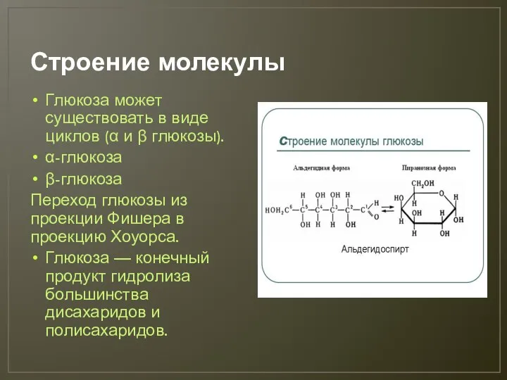 Строение молекулы Глюкоза может существовать в виде циклов (α и β