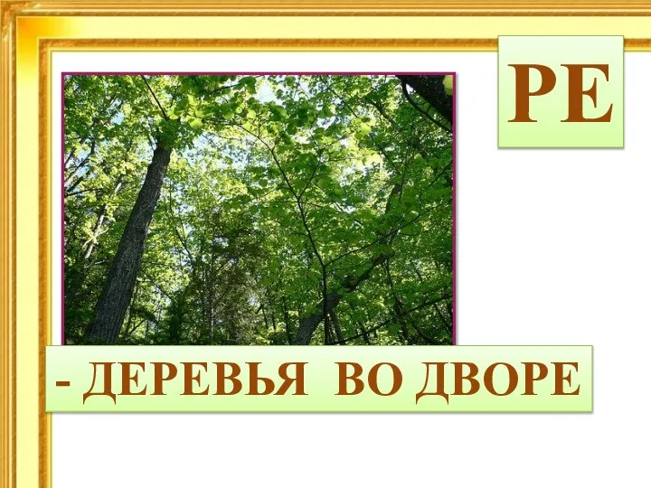 РЕ - ДЕРЕВЬЯ ВО ДВОРЕ