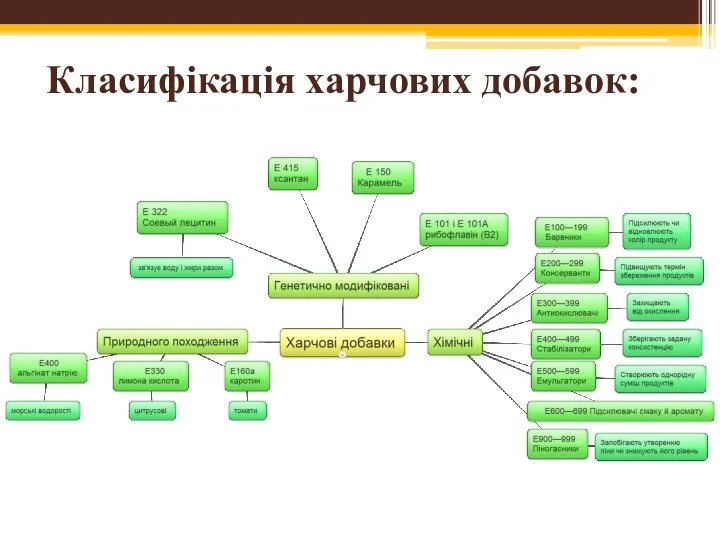 Класифікація харчових добавок: