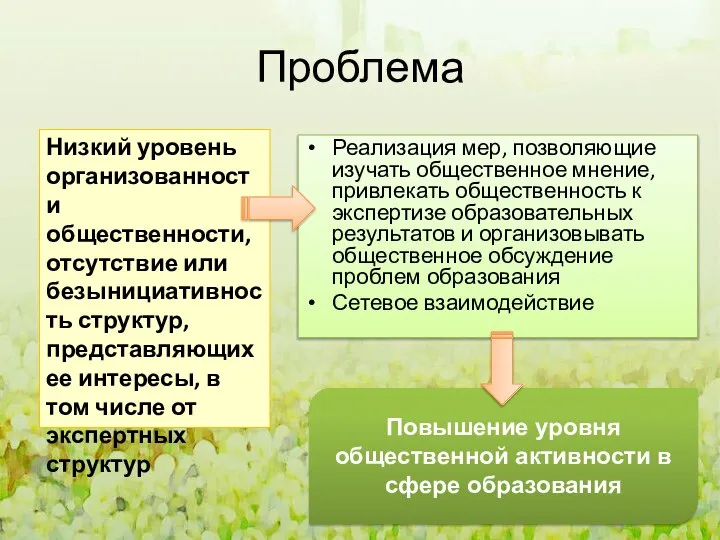 Проблема Реализация мер, позволяющие изучать общественное мнение, привлекать общественность к экспертизе