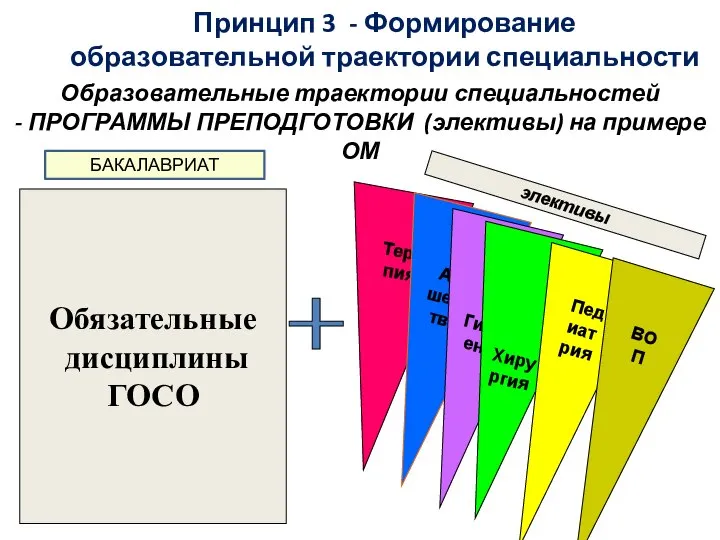 Обязательные дисциплины ГОСО Терапия Акушерство Гигиена Хирургия Педиатрия ВОП элективы Образовательные