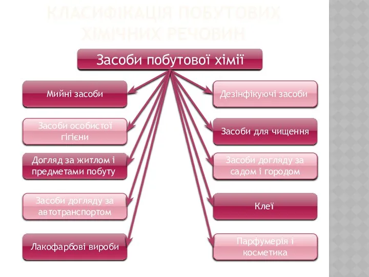 Класифікація побутових хімічних речовин Засоби побутової хімії Мийні засоби Дезінфікуючі засоби