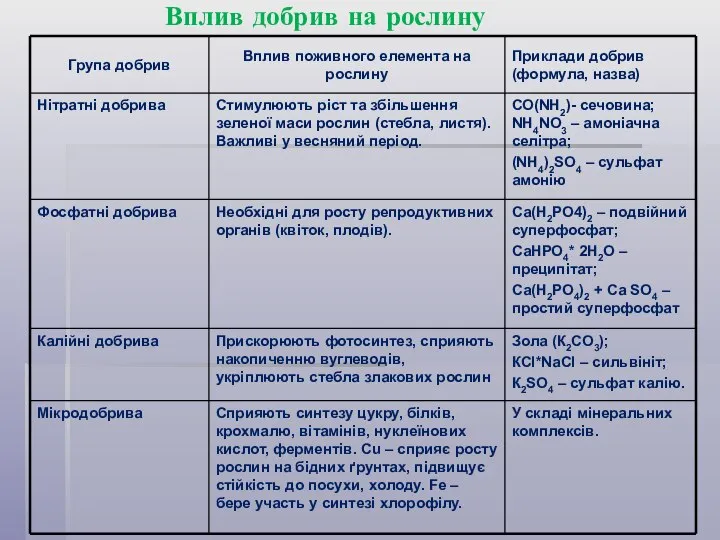 Вплив добрив на рослину