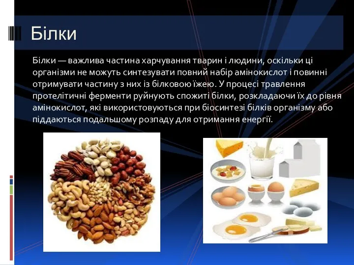 Білки — важлива частина харчування тварин і людини, оскільки ці організми