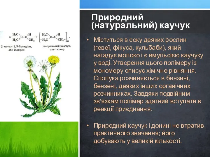 Міститься в соку деяких рослин (гевеї, фікуса, кульбаби), який нагадує молоко