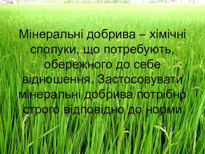 Мінеральні добрива – хімічні сполуки, що потребують, обережного до себе відношення.