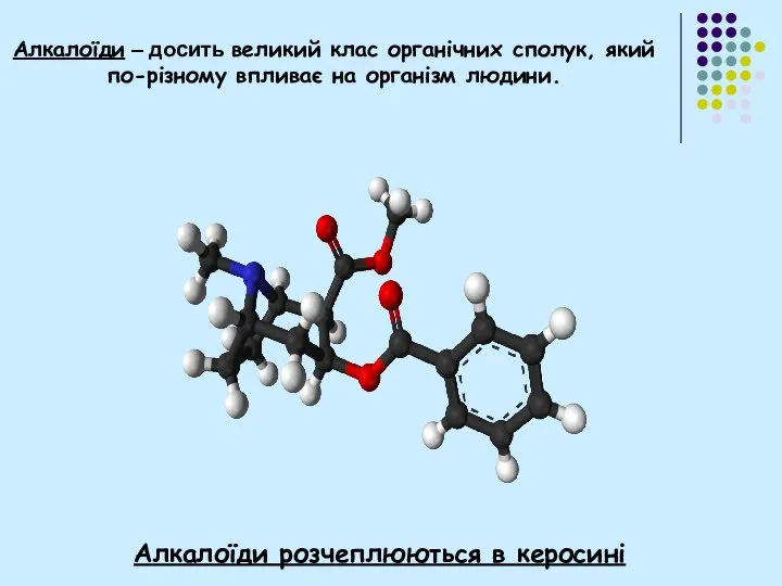 Алкалоїди – досить великий клас органічних сполук, який по-різному впливає на