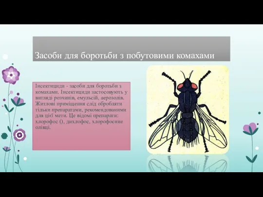 Засоби для боротьби з побутовими комахами Інсектициди - засоби для боротьби