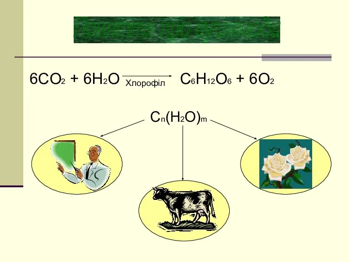 Поняття про вуглеводи 6СO2 + 6H2O C6H12O6 + 6O2 Хлорофіл Сn(Н2O)m