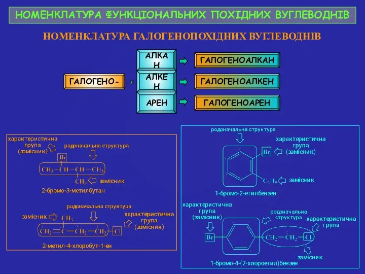 НОМЕНКЛАТУРА ФУНКЦІОНАЛЬНИХ ПОХІДНИХ ВУГЛЕВОДНІВ НОМЕНКЛАТУРА ГАЛОГЕНОПОХІДНИХ ВУГЛЕВОДНІВ ГАЛОГЕНО- АЛКАН ГАЛОГЕНОАЛКАН АЛКЕН АРЕН ГАЛОГЕНОАЛКЕН ГАЛОГЕНОАРЕН