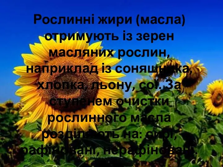 Рослинні жири (масла) отримують із зерен масляних рослин, наприклад із соняшника,