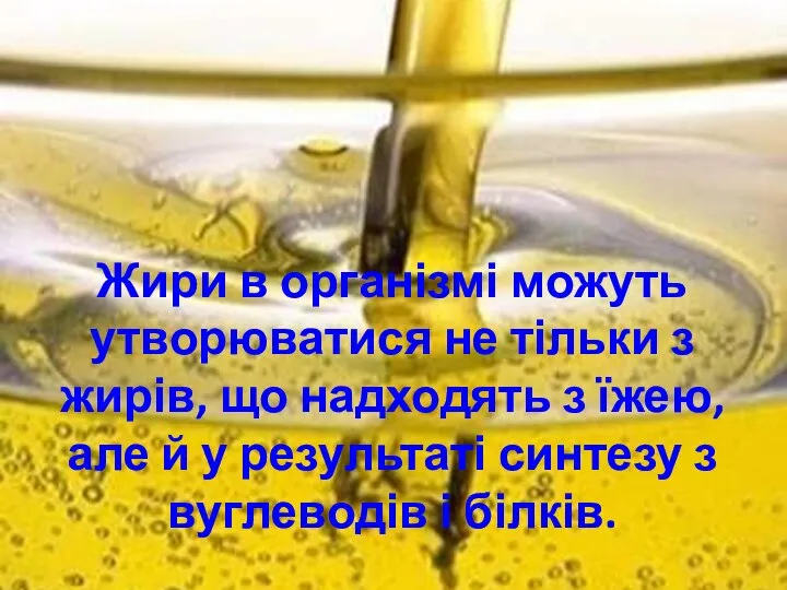 Жири в організмі можуть утворюватися не тільки з жирів, що надходять