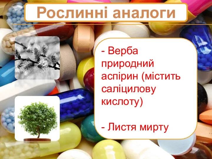 Рослинні аналоги - Верба природний аспірин (містить саліцилову кислоту) - Листя мирту