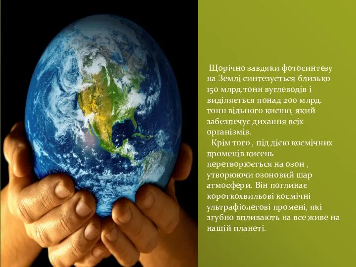 Щорічно завдяки фотосинтезу на Землі синтезується близько 150 млрд.тонн вуглеводів і