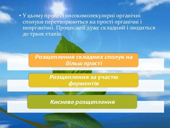 У цьому процесі високомолекулярні органічні сполуки перетворюються на прості органічні і