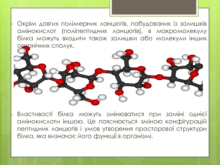 Окрім довгих полімерних ланцюгів, побудованих із залишків амінокислот (поліпептидних ланцюгів), в