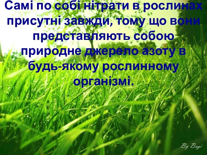 Самі по собі нітрати в рослинах присутні завжди, тому що вони