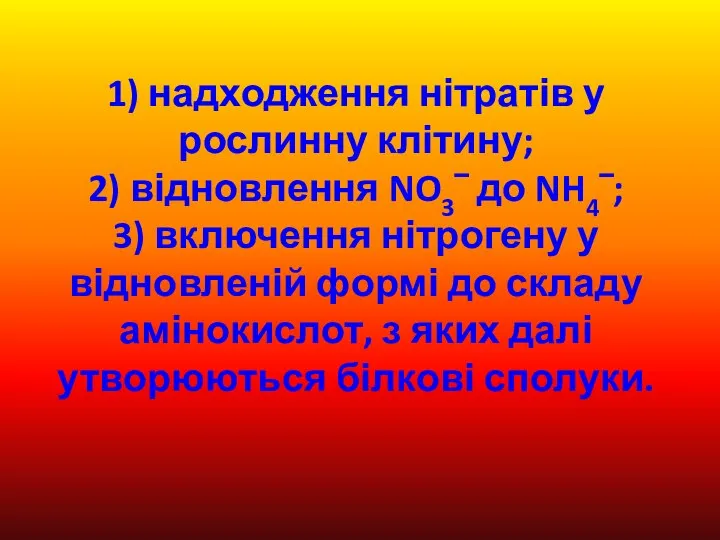 1) надходження нітратів у рослинну клітину; 2) відновлення NO3‾ до NH4‾;