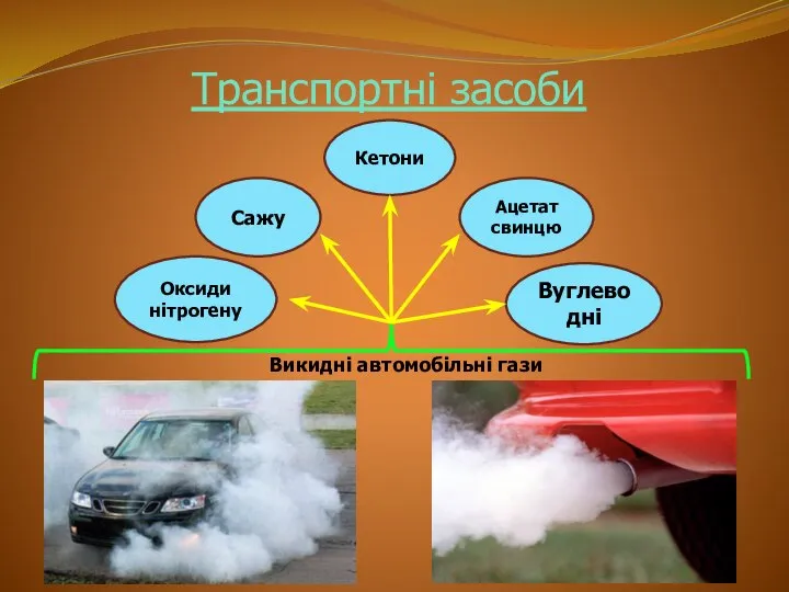 Транспортні засоби Ацетат свинцю Вуглеводні Сажу Кетони Оксиди нітрогену Викидні автомобільні гази