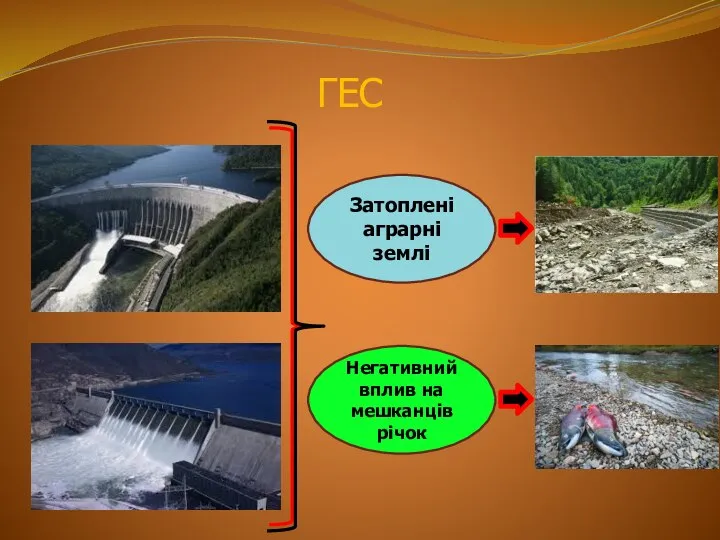 ГЕС Затоплені аграрні землі Негативний вплив на мешканців річок