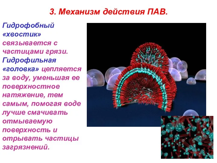 3. Механизм действия ПАВ. Гидрофобный «хвостик» связывается с частицами грязи. Гидрофильная