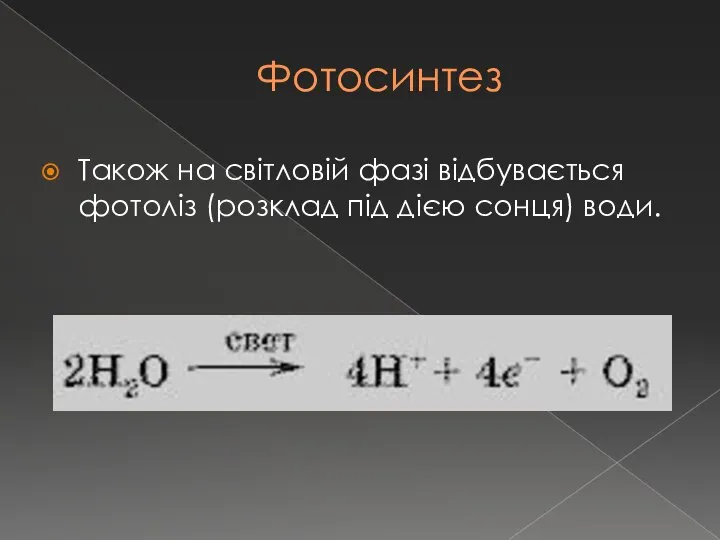 Фотосинтез Також на світловій фазі відбувається фотоліз (розклад під дією сонця) води.