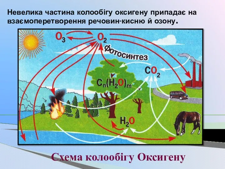 Невелика частина колообігу оксигену припадає на взаємоперетворення речовин-кисню й озону. Схема колообігу Оксигену