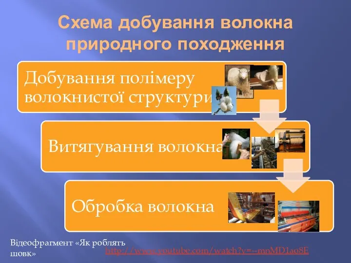 Схема добування волокна природного походження http://www.youtube.com/watch?v=--mnMD1ao8E Відеофрагмент «Як роблять шовк»