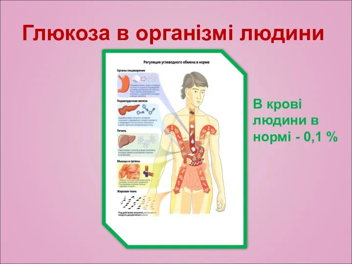 Глюкоза в організмі людини В крові людини в нормі - 0,1 %