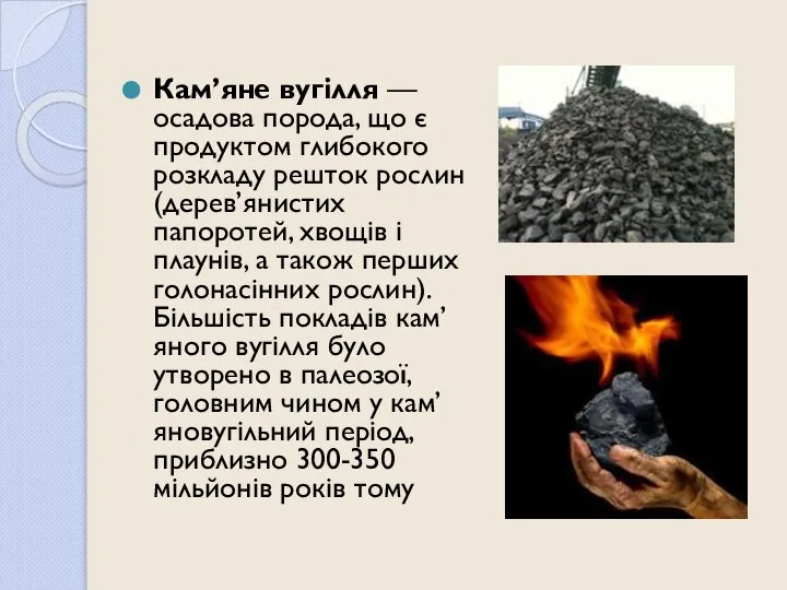 Кам’яне вугілля — осадова порода, що є продуктом глибокого розкладу решток