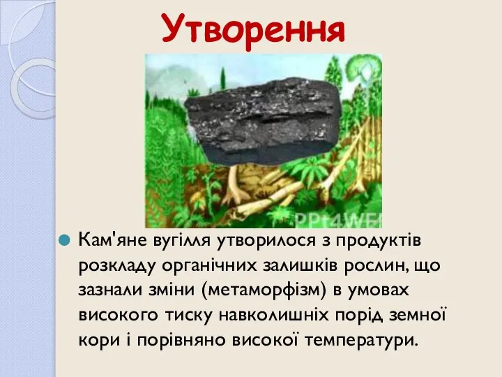 Утворення Кам'яне вугілля утворилося з продуктів розкладу органічних залишків рослин, що