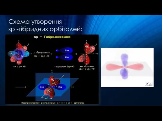 Схема утворення sp -гібридних орбіталей: