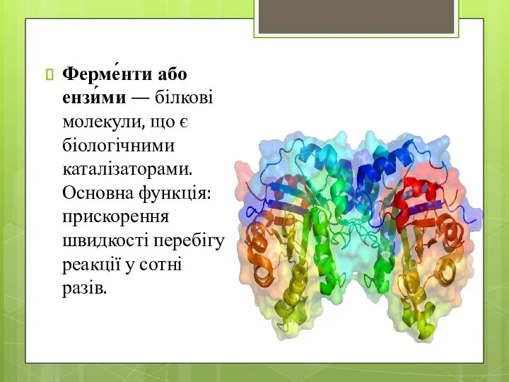 Ферме́нти або ензи́ми — білкові молекули, що є біологічними каталізаторами. Основна