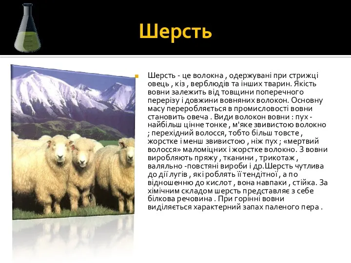 Шерсть Шерсть - це волокна , одержувані при стрижці овець ,