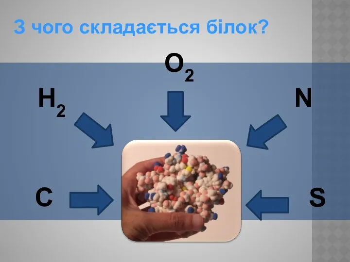 З чого складається білок? O2 N C H2 S