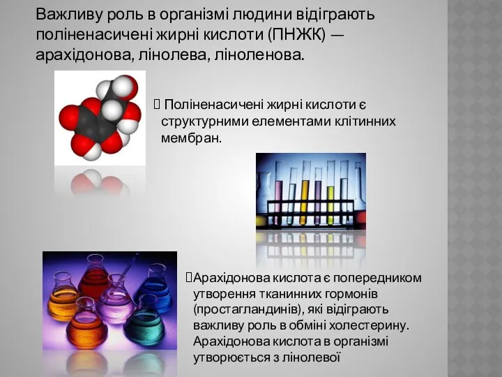 Важливу роль в організмі людини відіграють поліненасичені жирні кислоти (ПНЖК) —