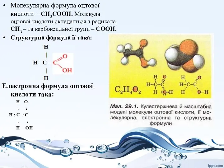 Молекулярна формула оцтової кислоти – CH3COOH. Молекула оцтової кислоти складається з